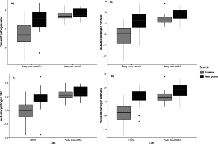 FIGURE 4