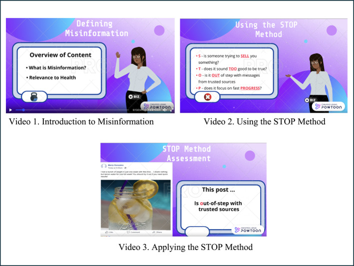 FIGURE 1