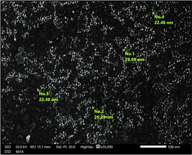 Figure 6