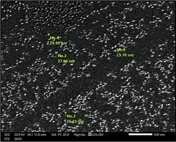Figure 7
