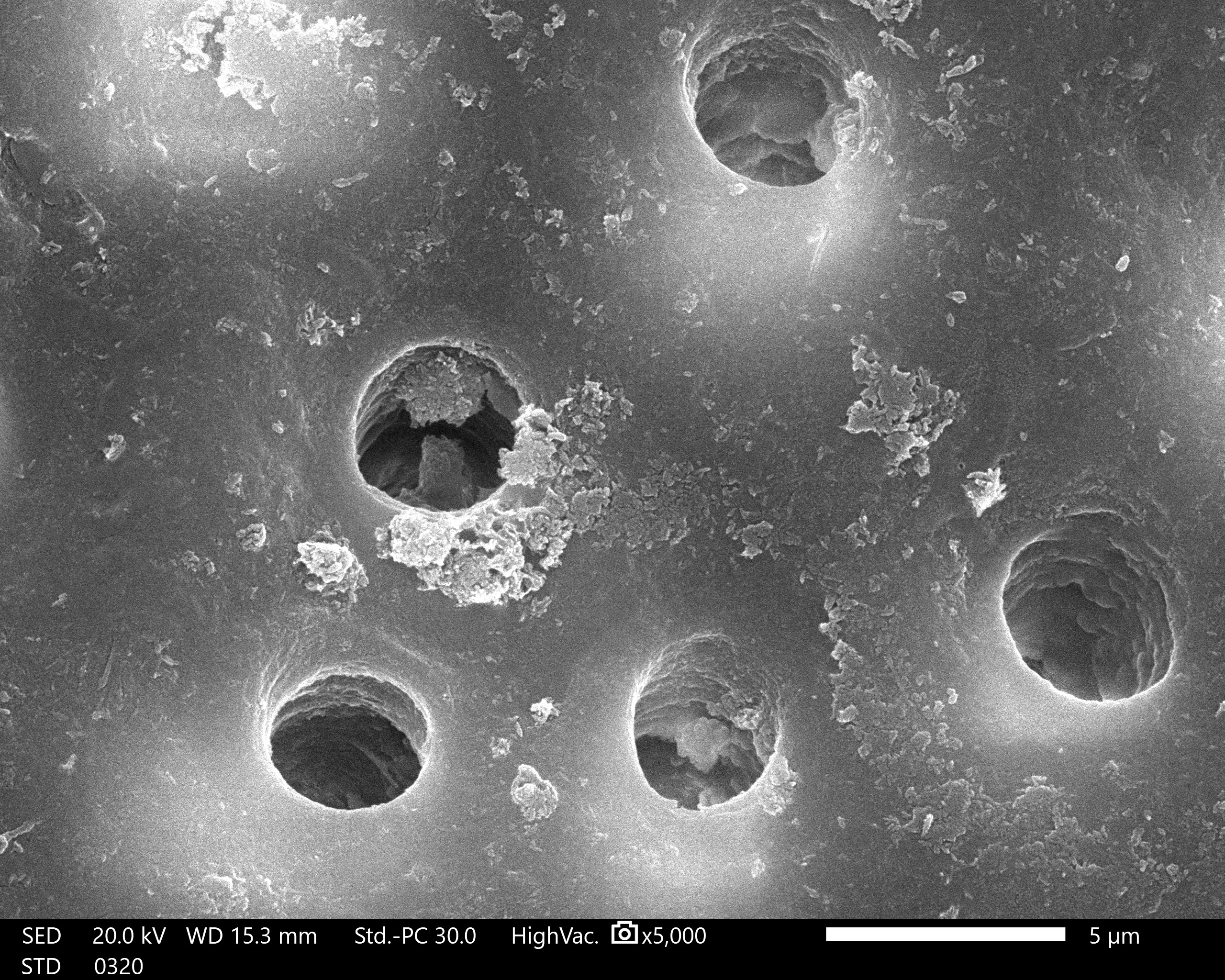 Figure 10