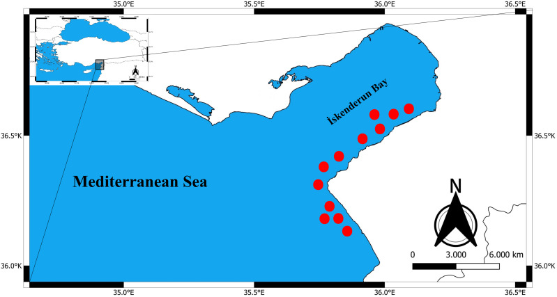 Figure 6