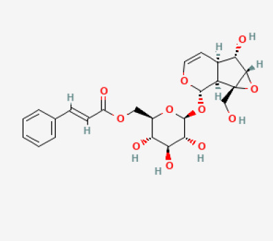 Figure 17