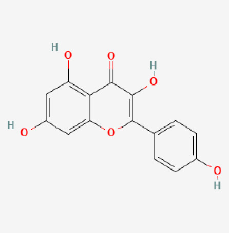 Figure 25