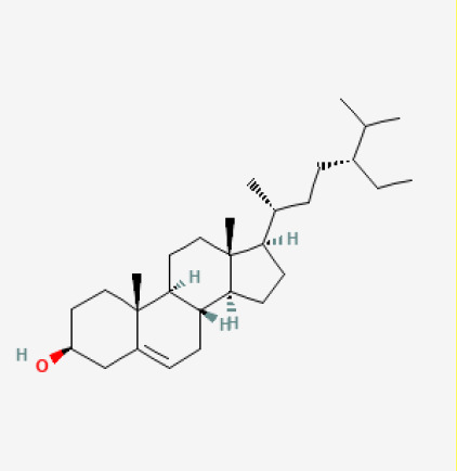 Figure 28