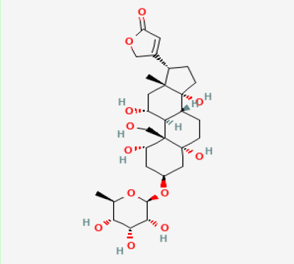Figure 32