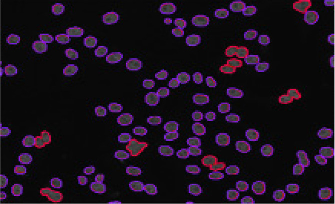 Figure 4