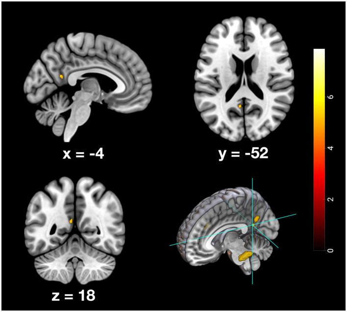 Figure 6