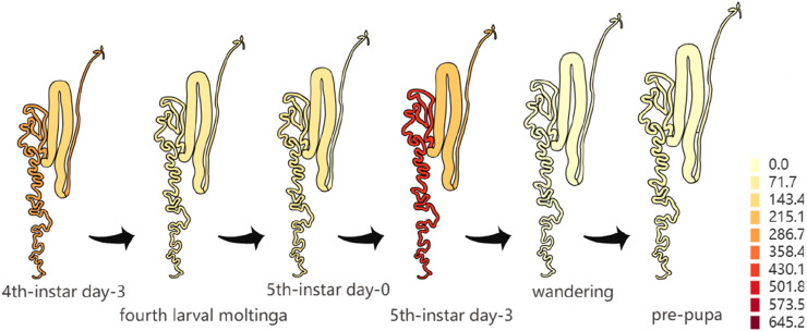 Figure 6
