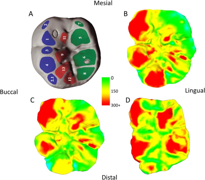 Figure 2