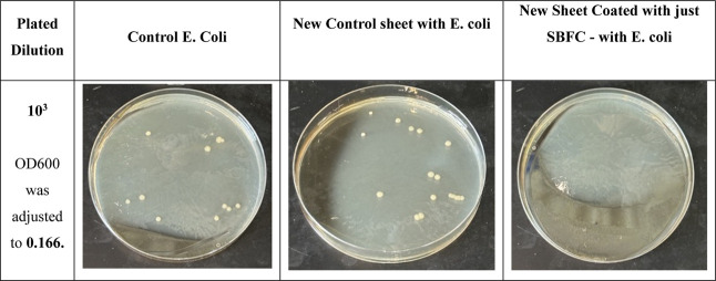 Figure 24
