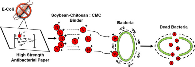 Figure 25