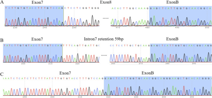 FIGURE 3