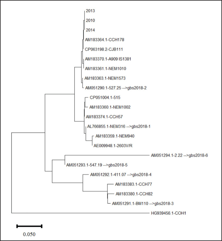 Figure 5