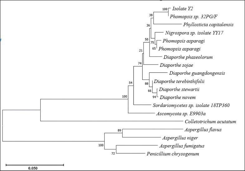 Figure 7