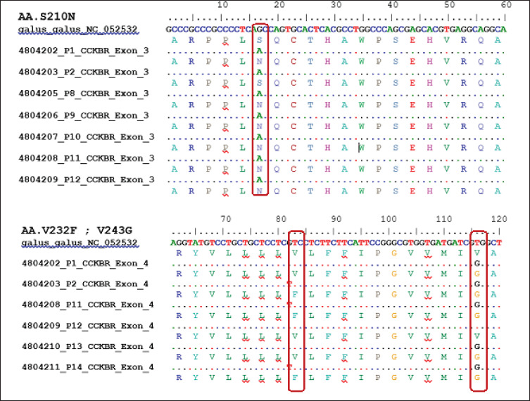 Figure 4