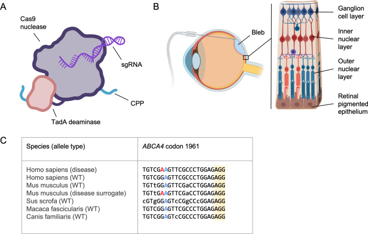 Fig 1
