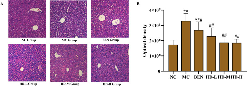 Fig 8