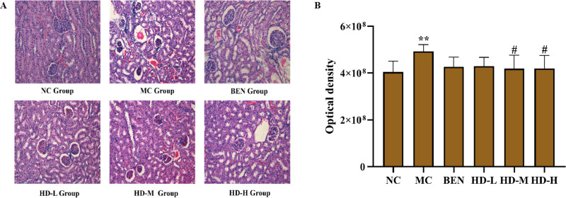 Fig 9