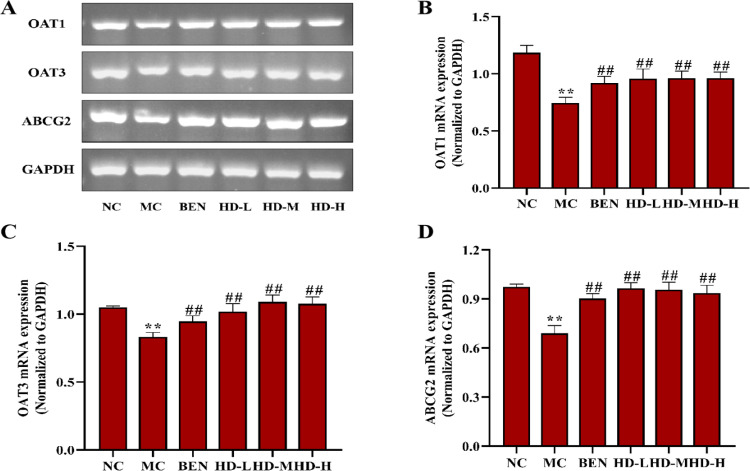 Fig 10