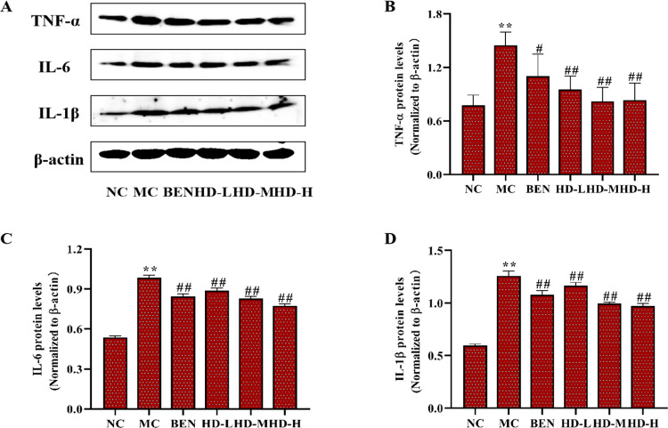 Fig 13