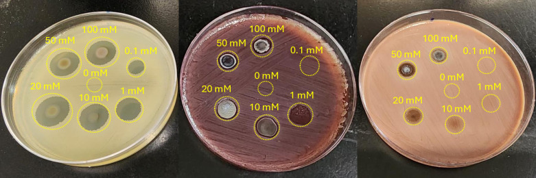 Fig 4