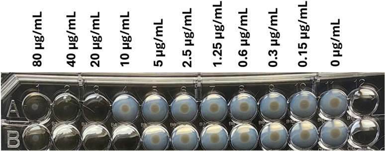Fig 5