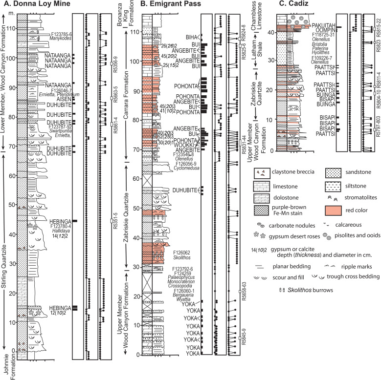 Fig 3