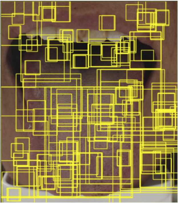 FIGURE 8