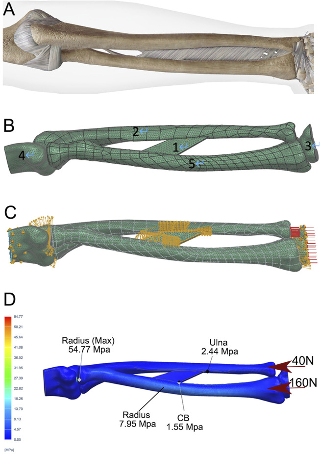 FIGURE 2