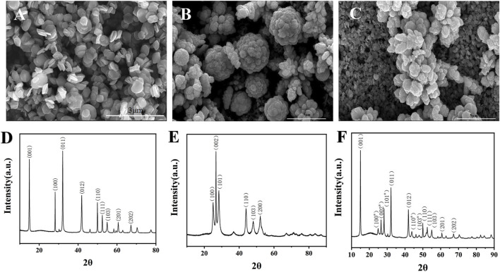 FIGURE 2