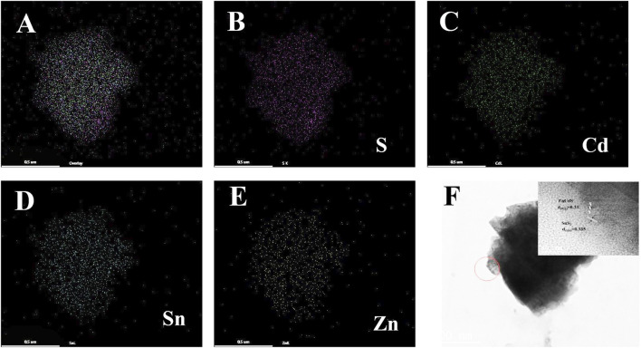 FIGURE 3