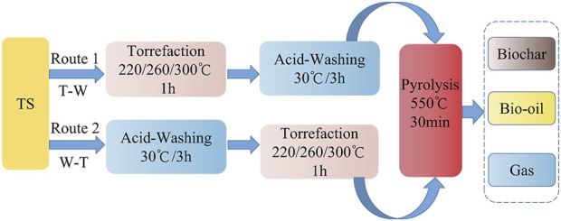 FIGURE 1