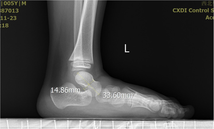 Figure 5