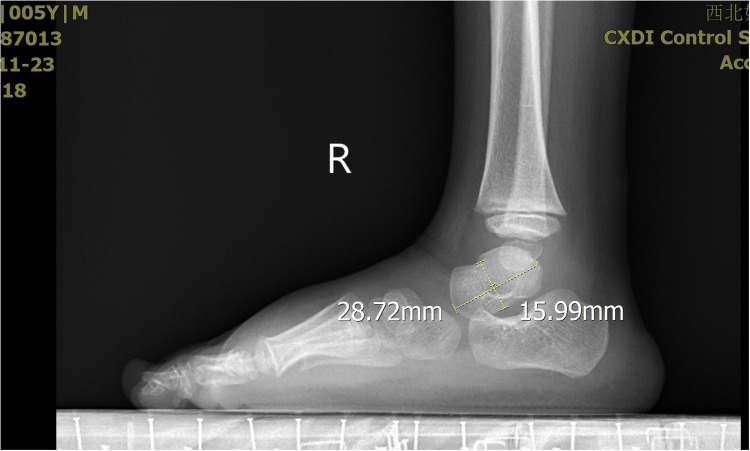 Figure 6