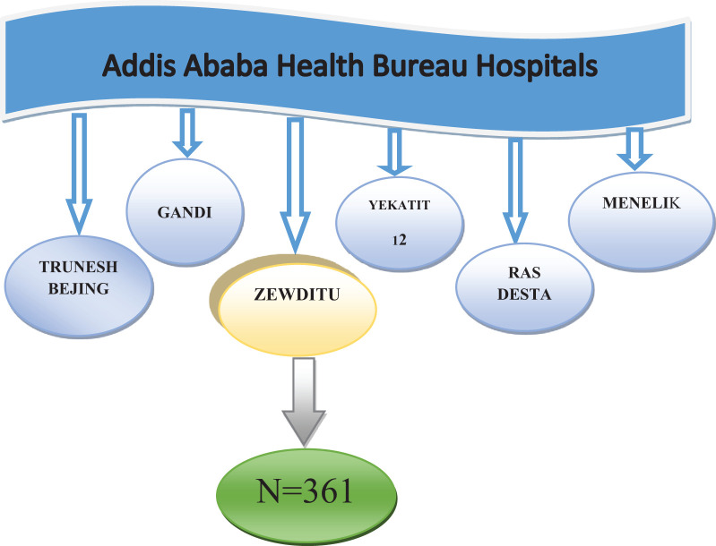 Figure 1