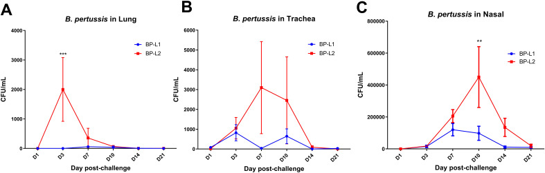 Figure 6