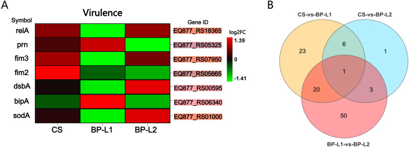 Figure 7