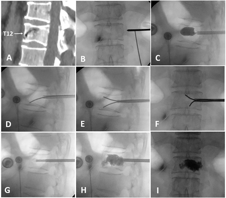 Figure 1
