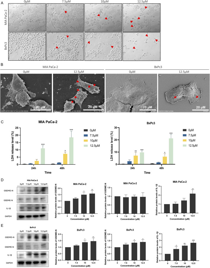 FIGURE 3