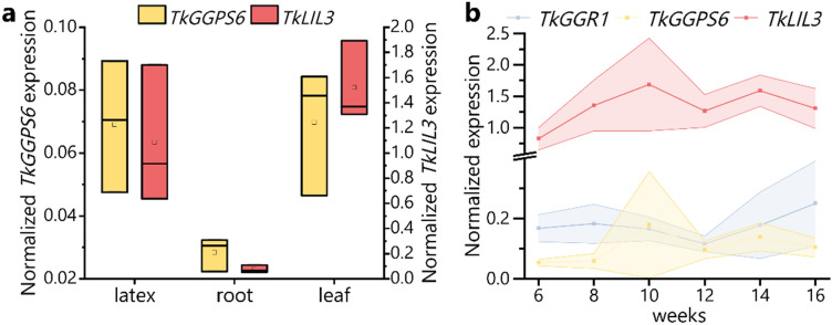 Figure 6