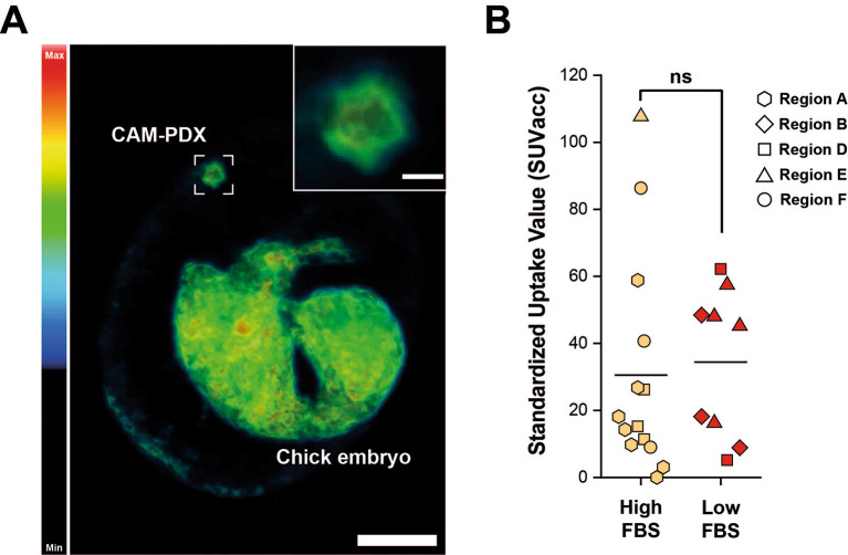 Figure 13