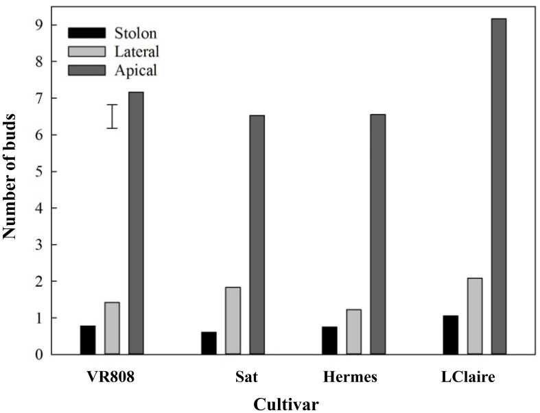 Figure 1