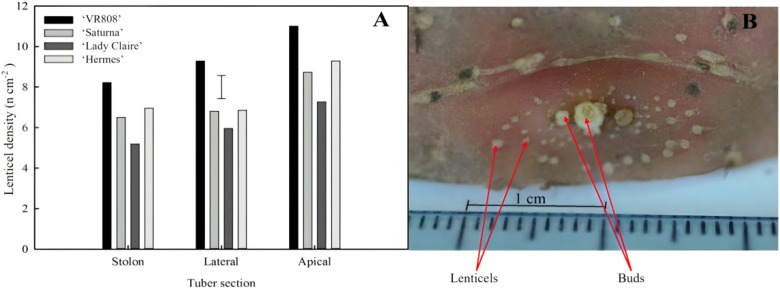 Figure 2