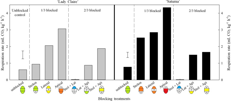 Figure 5
