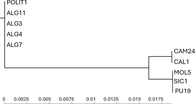 Figure 6