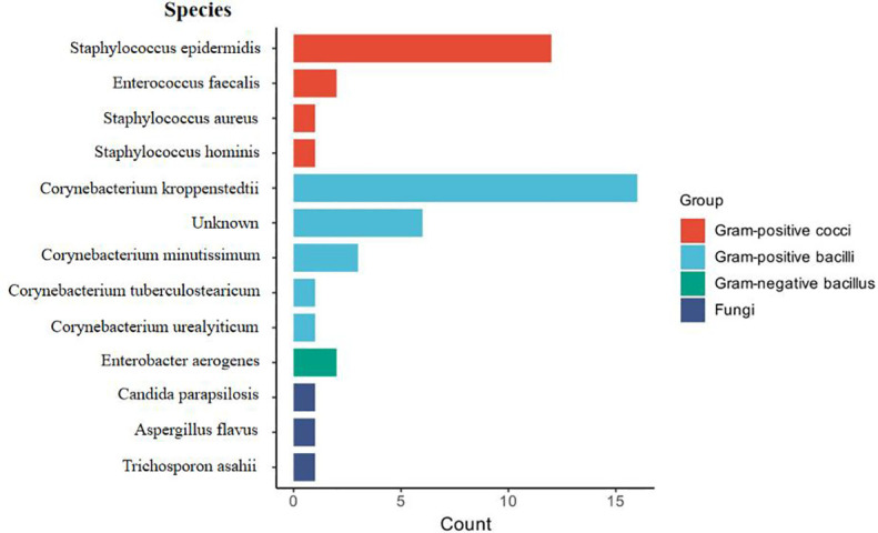 Figure 3