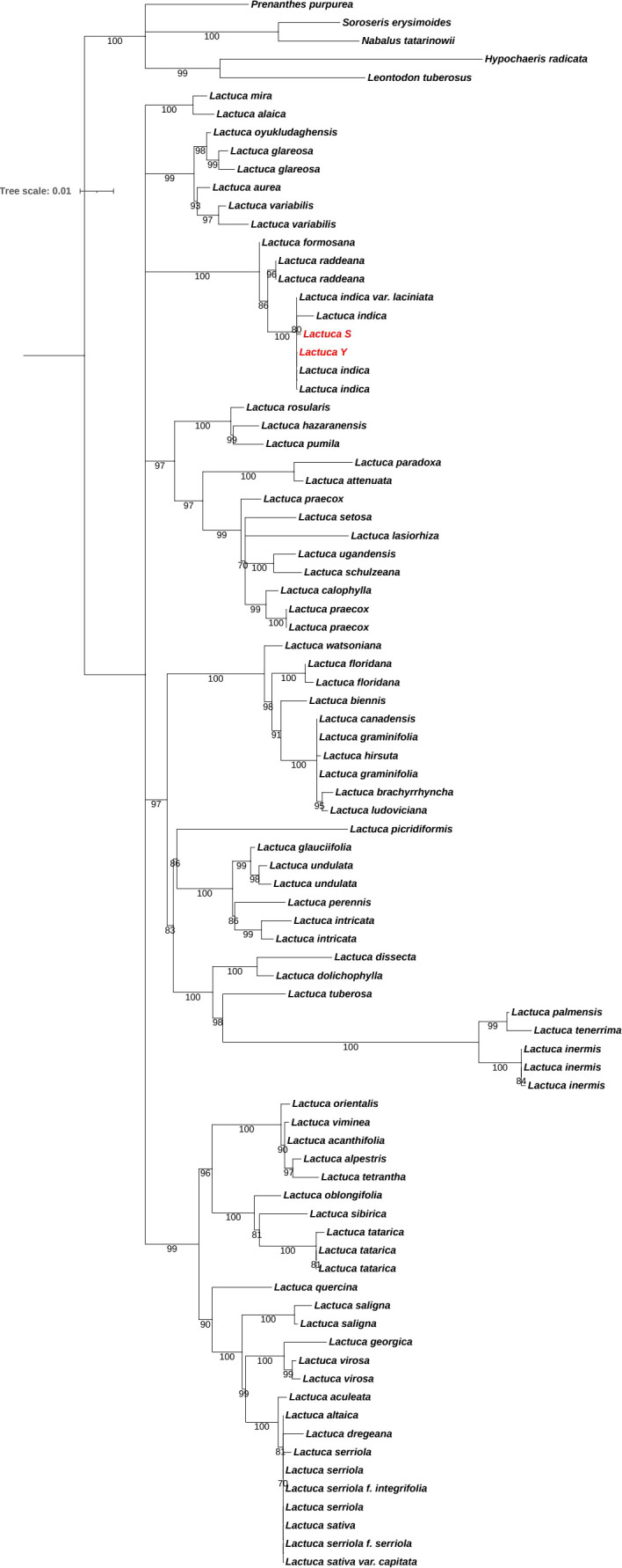 Figure 2
