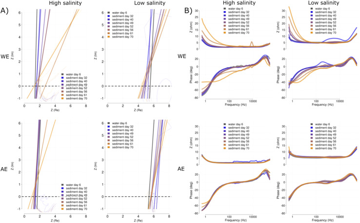 Fig. 10