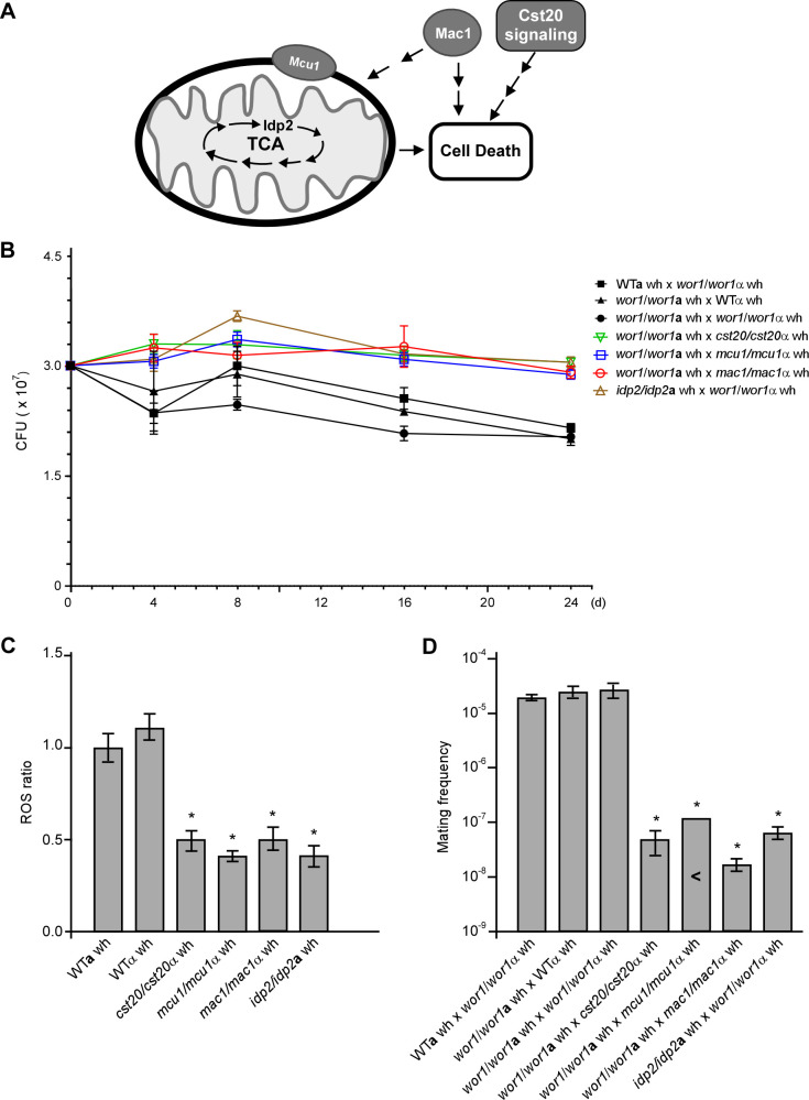 Fig 4